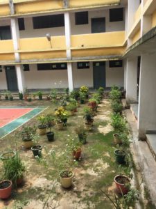 tree plantation day