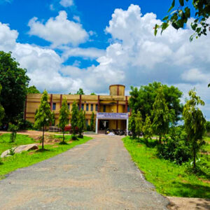 College Entrance