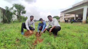 Plantation